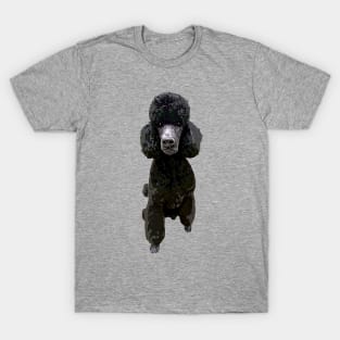 Poodle Gorgeous Style! T-Shirt